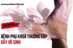 TOP 4 bệnh phụ khoa thường gặp khiến chị em lo sợ vì nguy cơ vô sinh, xem ngay!