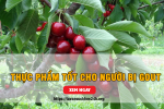 7 thực phẩm tốt cho người bị bệnh gout được chuyên gia khuyên dùng