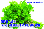 Top 6 cách trị hôi miệng tại nhà cực đơn giản! ĐỪNG BỎ LỠ 