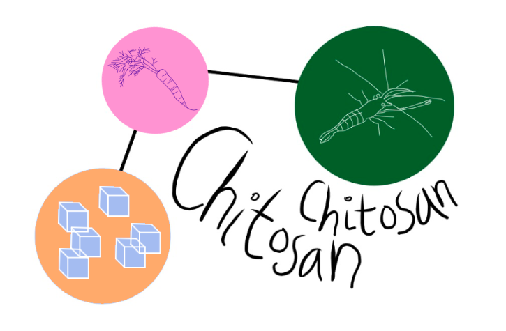 Chitosan giúp kháng khuẩn chống viêm hiệu quả