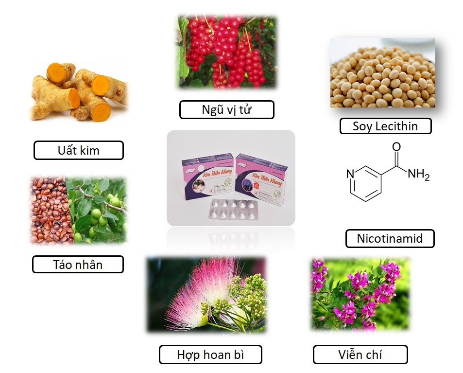    Kim Thần Khang hỗ trợ điều trị mệt mỏi, suy nhược cơ thể hiệu quả