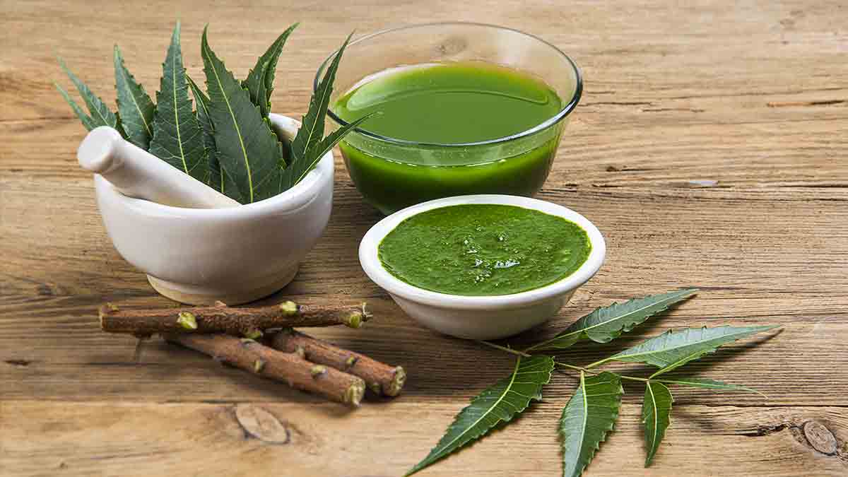  Sản phẩm chứa dịch chiết neem hỗ trợ điều trị mụn ẩn an toàn, hiệu quả