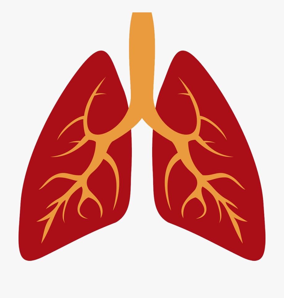   Viêm phổi mạn tính gây ho kéo dài