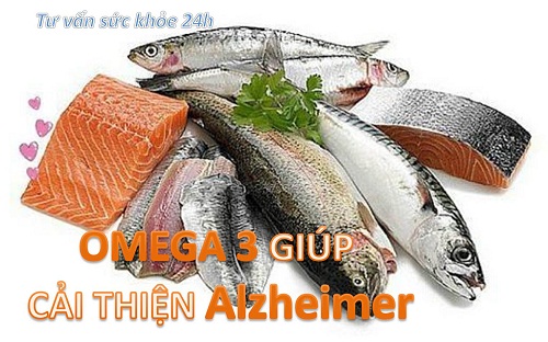 Bổ sung omega-3 từ các loại cá giúp ngăn chặn bệnh Alzheimer