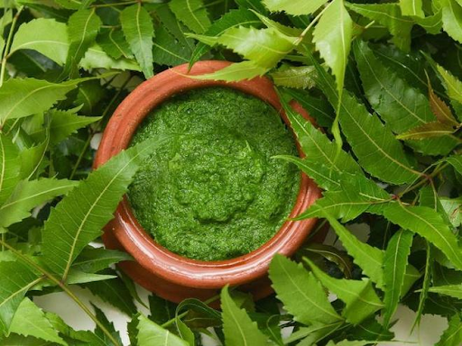 Dịch chiết neem hỗ trợ cải thiện mụn trứng cá hiệu quả