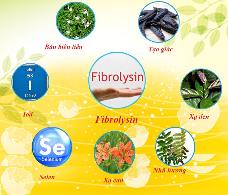   Sản phẩm có thành phần chính là Fibrolysin giúp cải thiện tình trạng ho kéo dài